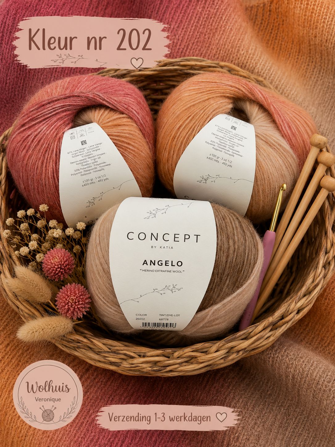 Katia Concept Angelo